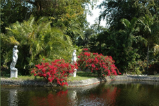 Freeport The Garden of the Groves cruise excursion